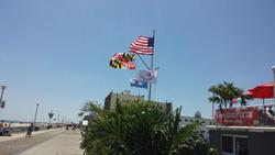 Commander Hotel & Suites