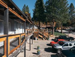 LOGE Mt. Shasta