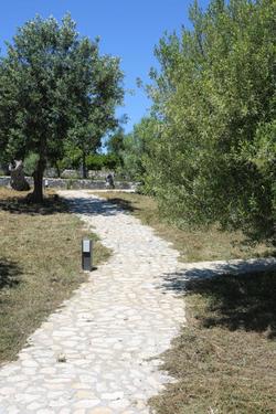 L'Albitru