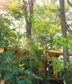 Des Branches & Vous