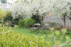 The Springwater Bed And Breakfast