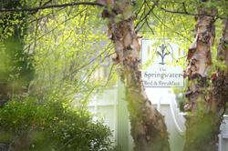 The Springwater Bed And Breakfast