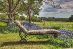 Kuebler Waldrip Haus Bed And Breakfast