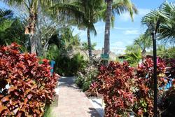 Siesta Key Palms Resort