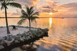 Dolphin Point Villas