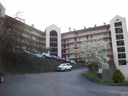 Gatlinburg Chateau Rentals