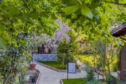 Ağva Park Mandalin Hotel - Adult Only