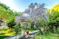 Ağva Park Mandalin Hotel - Adult Only