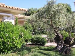 Nature Et Design