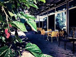 Otel Star Palace