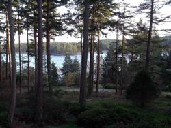 Inn To The Woods Bed And Breakfast