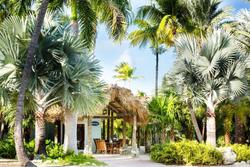 The Caribbean Resort
