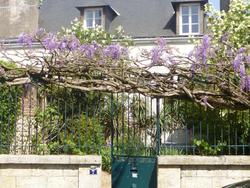 La Petite Vigne