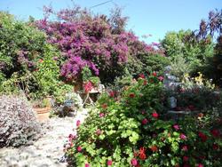 Le Patio