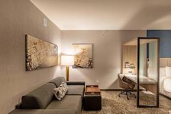 SpringHill Suites by Marriott Dallas McKinney/Alle