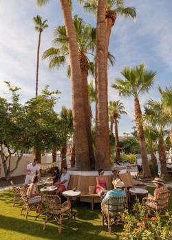 Dive Palm Springs