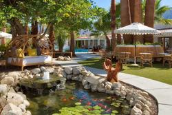 Dive Palm Springs