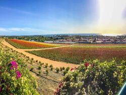 Grand Pacific Palisades