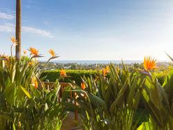 Grand Pacific Palisades
