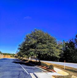 Fairfield Inn & Suites Marianna