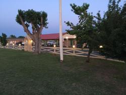 Green Tree Inn