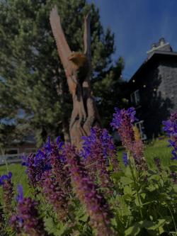 Chalet Motel Whitefish