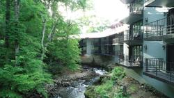 Bear Creek Inn