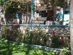 Sardunya Andifli Otel