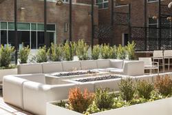 Springhill Suites By Marriott Greenville Downtown