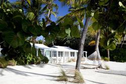 Pines & Palms Resort