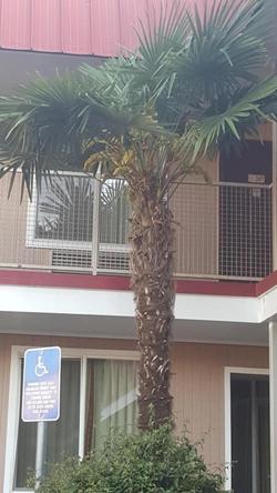 Express Inn & Suites