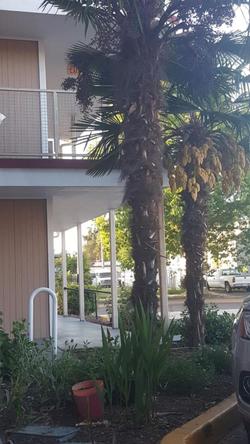 Express Inn & Suites