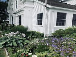 The Orchard House & Cafe