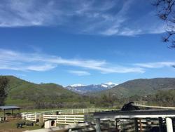 Lazy J Ranch Motel