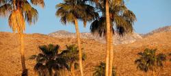 Hotel California