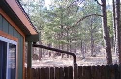 Elden Trails Bed And Breakfast