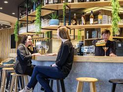 Ibis Gonesse