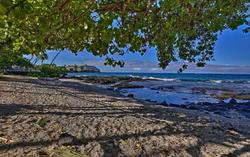Vacation Condos In Kona