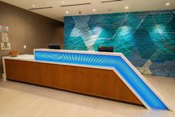 Springhill Suites By Marriott Newark Fremont