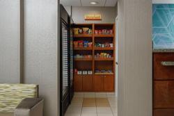 SpringHill Suites by Marriott Knoxville at Turkey 