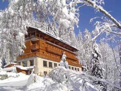 Chalet Hotel Les Campanules