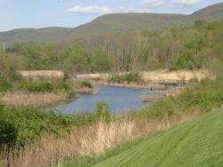 Mountain Creek