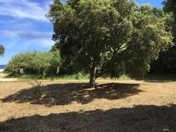 Le Clos Des Sept Palmiers