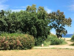 Le Clos Des Sept Palmiers
