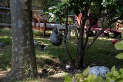Fener Motel