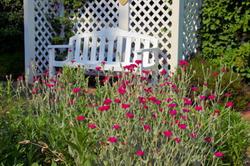 Cedar Crest Inn