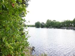 Milford Motel On The River