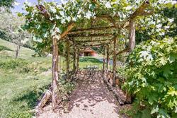Butterfly Hollow Bed And Breakfast