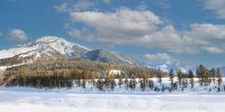 Flying Saddle Resort