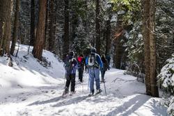 Fairfield Inn & Suites Oakhurst Yosemite